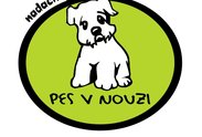 Logo: Nadační fond PES V NOUZI