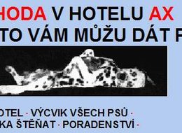  Hlídání psů - ubytování v psím hotelu AX