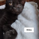  Eliška