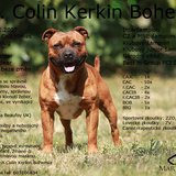  ICh. Colin Kerkin Bohemia