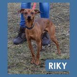  Riky