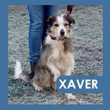  Xaver