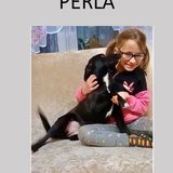  Perla