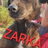  ZARKA(n)