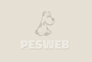 Logo: Útulek pro opuštěná a handicapovaná zvířata České Budějovice